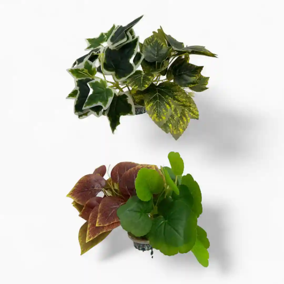 PLANTA 25HHP33-7-01 PLANTA 25HHP33-7 - Imagen 1