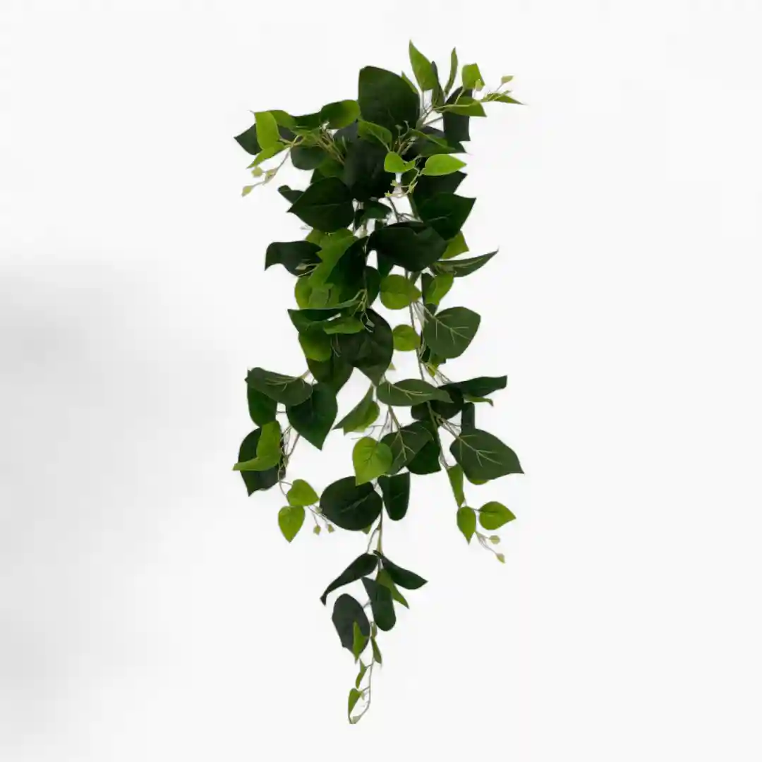 PLANTA 25HHP33-8-01 PLANTA 25HHP33-8 - Imagen 1